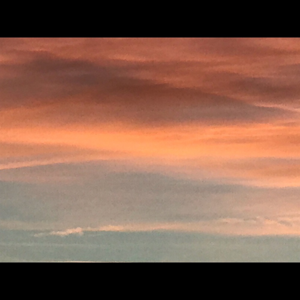 Meet your Posher, Priscilla